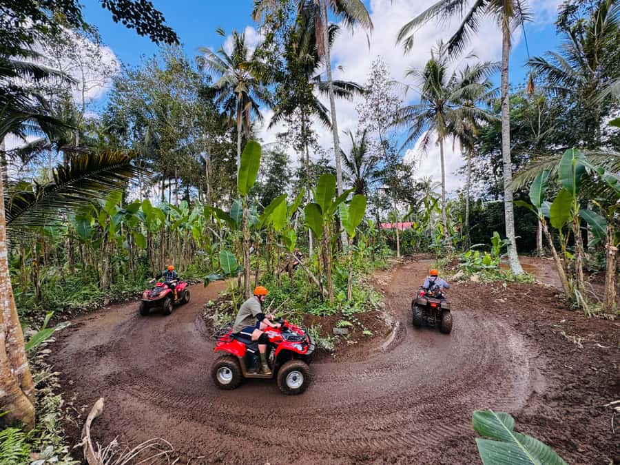 Ubud: Gorilla Face Quad Bike, Jungle Swing, Waterfall & Meal - Safety, Comfort, and Who Should Skip This Day