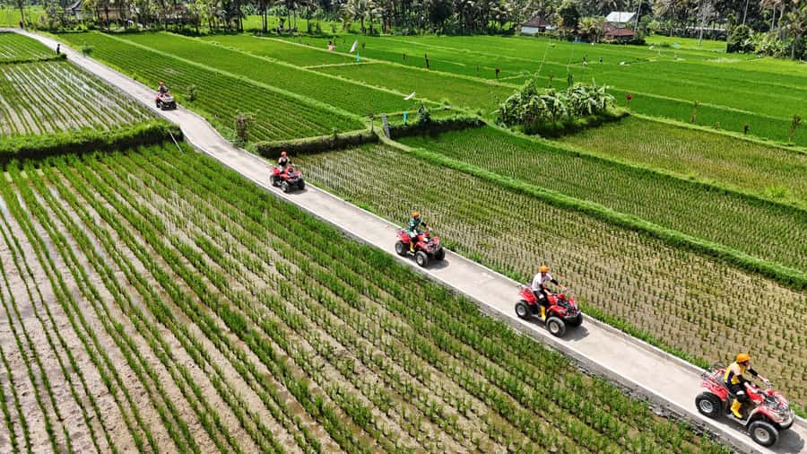 Ubud: Guided ATV Quad Bike Jungle Adventure with Lunch - The Route: Jungle trails, rice fields, rivers, and tunnels
