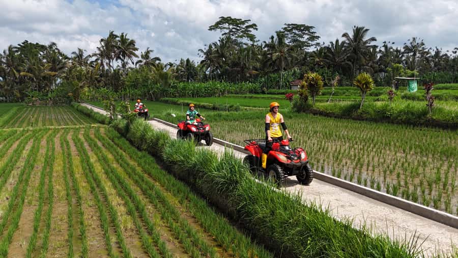 Ubud: Guided ATV Quad Bike Jungle Adventure with Lunch - Price and value: why $22 can be a great deal