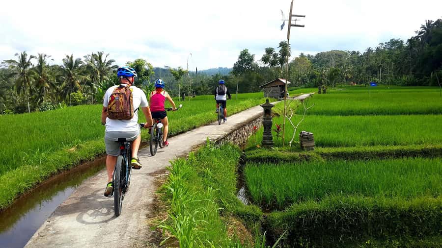Ubud: Half-Day Tegallalang Electric Cycling Tour - Why Tegallalang on an E-Bike Works So Well in Half a Day
