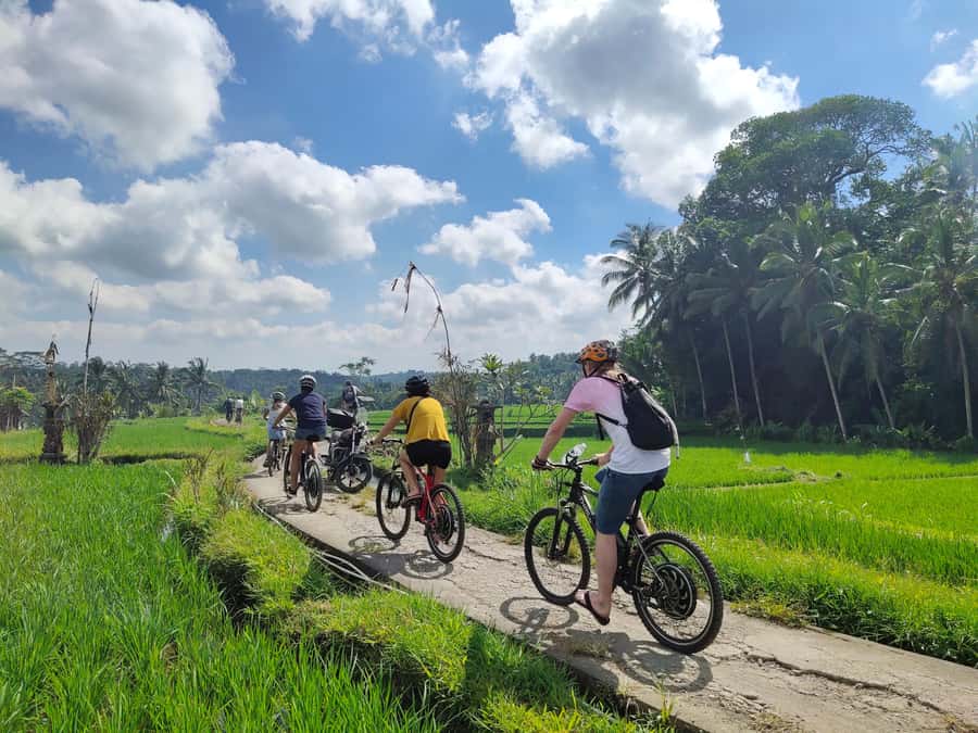 Ubud: Half-Day Tegallalang Electric Cycling Tour - The Ride Experience: How the Electric Bikes Change the Mood
