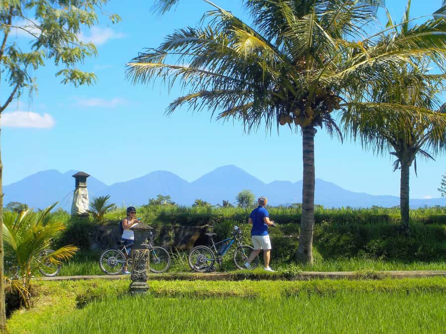 Ubud: Half-Day Tegallalang Electric Cycling Tour - Ubud Countryside Riding: Village Moments You Can Feel