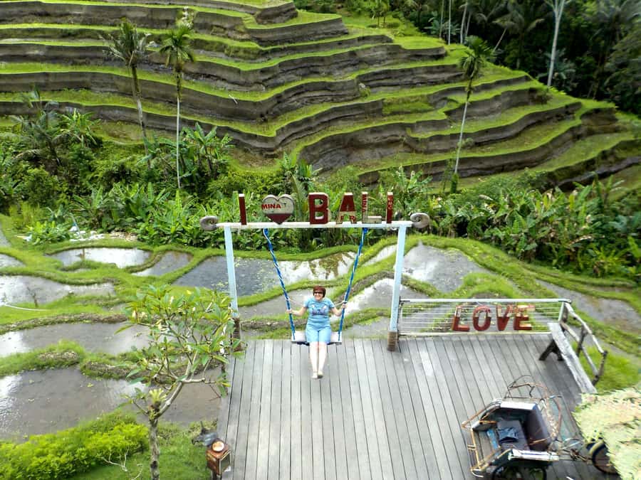 Ubud: Half-Day Tegallalang Electric Cycling Tour - Lunch and Food Reality Check: Included, But Not a Guaranteed Fit
