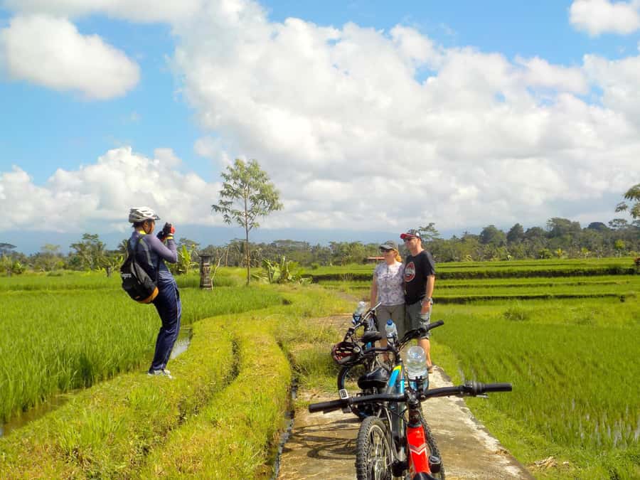 Ubud: Half-Day Tegallalang Electric Cycling Tour - Who Should Book This Tour (and Who Should Skip It)