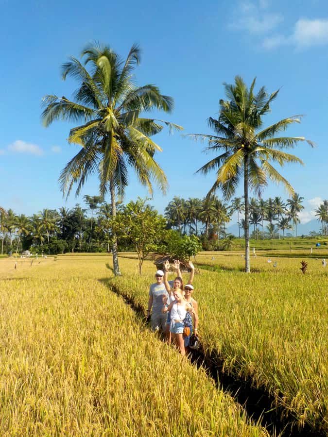 Ubud: Half-Day Tegallalang Electric Cycling Tour - Your Two Culture Stops: Coffee Plantation vs. Balinese Family Compound