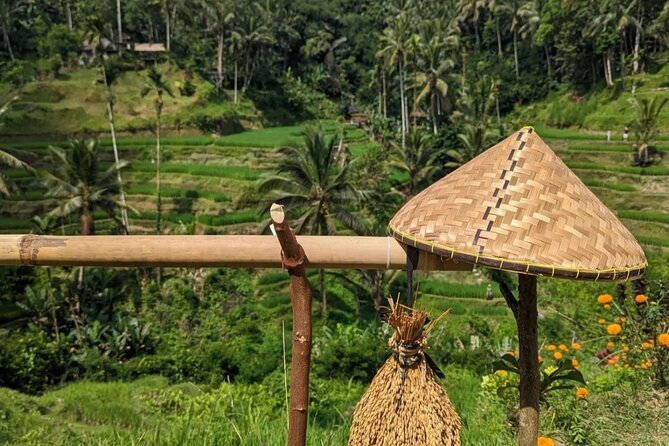 Ubud Half Day Zipline and Jungle Swing - Getting Picked Up in Ubud (And Not Losing Time)