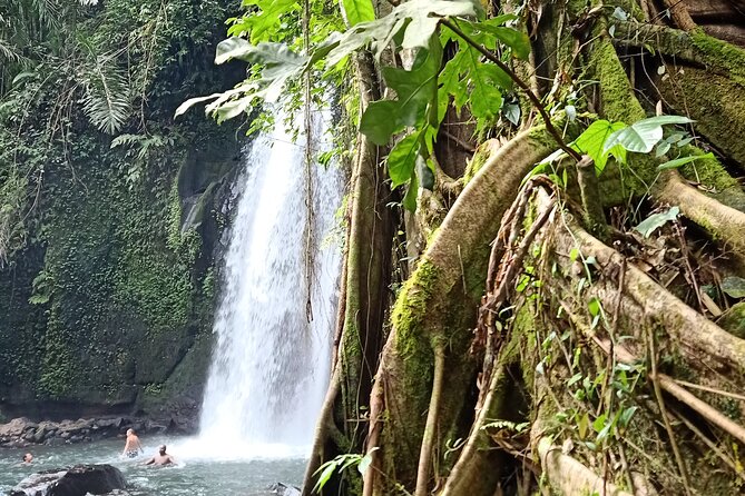 Ubud Half Day Zipline and Jungle Swing - The Swing: 13 Meter Jungle Fun With Big Photo Energy