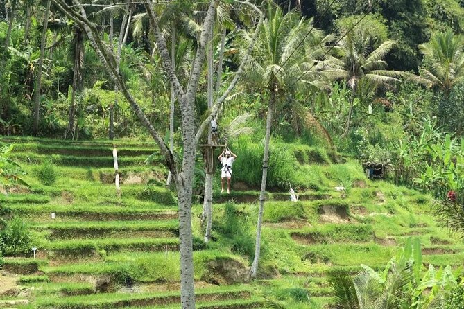 Ubud Half Day Zipline and Jungle Swing - Coffee and Tea at the End: A Calm Landing