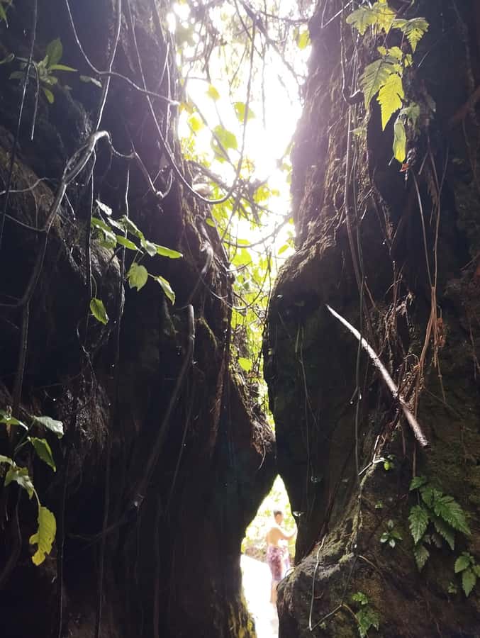 Ubud: Healing & Purification with Shaman at Hidden Temple - Value for money: is $12 worth it?