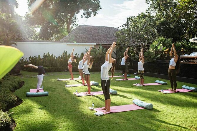 Ubud Healing Retreat Yoga, Massage, Purification & Rice Terraces - Stop 3: U Fun Field rice terraces plus the Dreamcatcher Swing