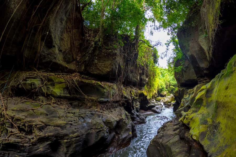 Ubud: Hidden Canyon Beji Guwang Guided Tour - Guides, Safety, and the Subtle Art of Not Wiping Out