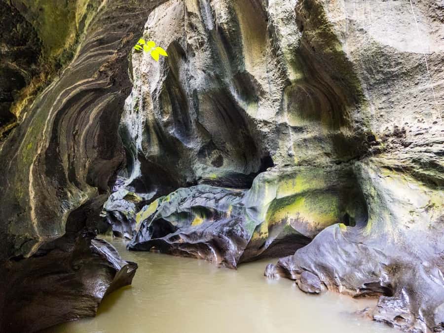 Ubud: Hidden Canyon Beji Guwang Guided Tour - Price and Value: Does $40 Add Up in Real Life?