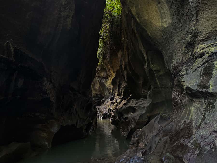 Ubud: Hidden Canyon Beji Guwang Guided Tour - When to Go: Morning Means Clearer Water and Fewer People