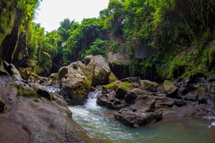 Ubud: Hidden Canyon Beji Guwang Guided Tour - Who Should Book This Canyon Swim Tour (and Who Should Skip It)