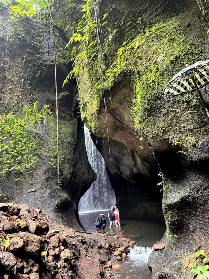 Ubud: Hidden Gems and Waterfalls Private Tour - Key highlights you’ll actually care about