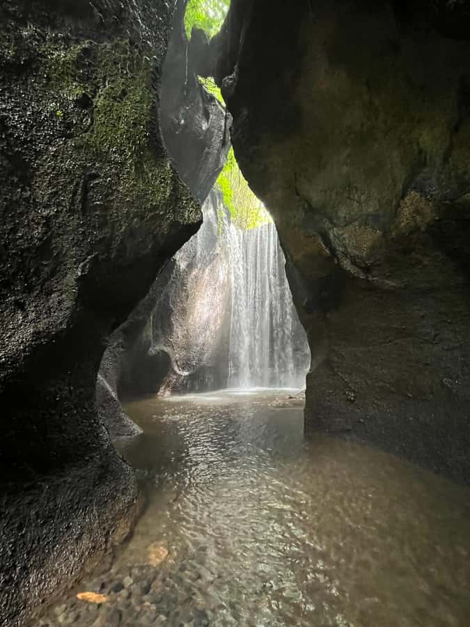 Ubud: Hidden Gems and Waterfalls Private Tour - Rain or shine: timing matters more than weather fears