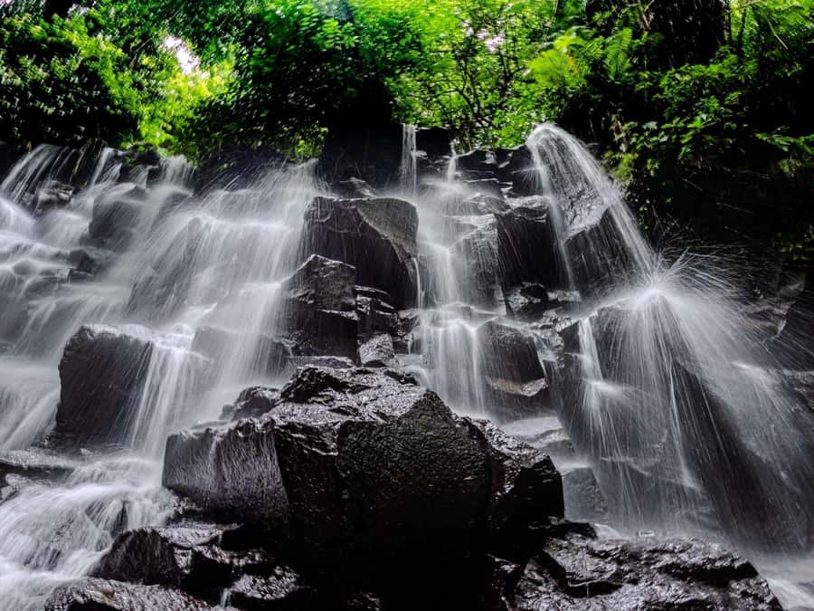 Ubud: Hidden Gems and Waterfalls Private Tour - First stop: Tegallalang rice terraces and the UNESCO walk