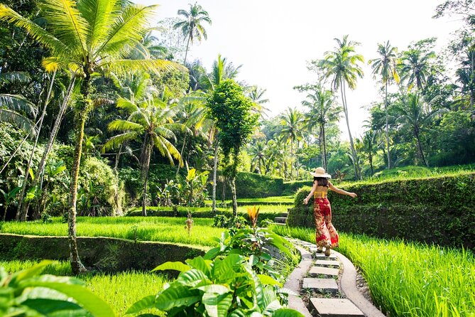 Ubud Hidden Gems Private Tour with Local Expert & Hotel Pickup - Segara Windhu Coffee Plantation: learning and tasting without pressure