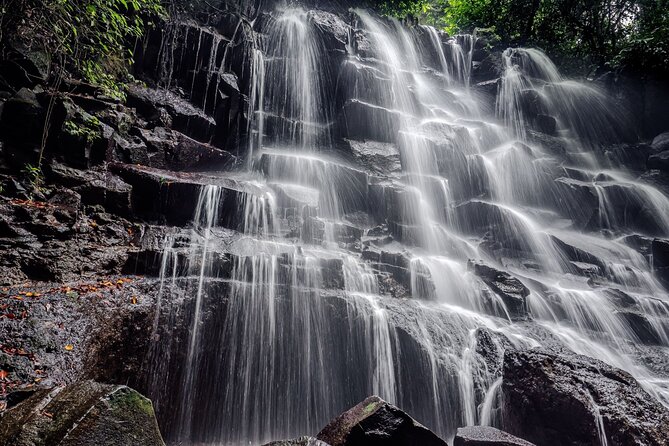 Ubud Hidden Gems Waterfalls and Private tour - Stop 3: Tegallalang Rice Terrace Walk (UNESCO Views + Photo Help)