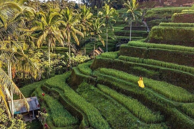 Ubud Hidden Waterfalls and Rice Terrace Tours - Waroeng DYoni Lunch: A Set Menu Reset That Keeps the Day Moving
