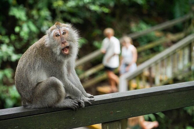 Ubud Highlight: Best of Ubud Private Day Tour with Local Guide - Private transportation, plus a guide who actually explains
