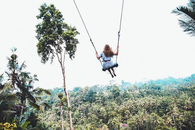 Ubud Highlight Private Charter with Jungle Swing - Price and logistics: is $33.51 per person actually a deal?