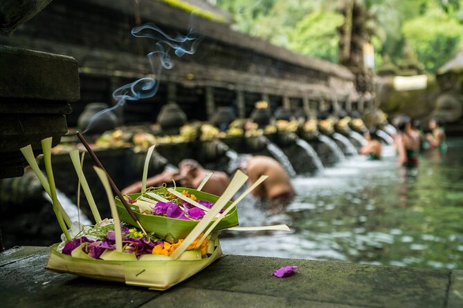 Ubud Highlights Rice Terraces, Temple, Waterfall & Monkeys forest - Tirta Empul and the Melukat purification ritual