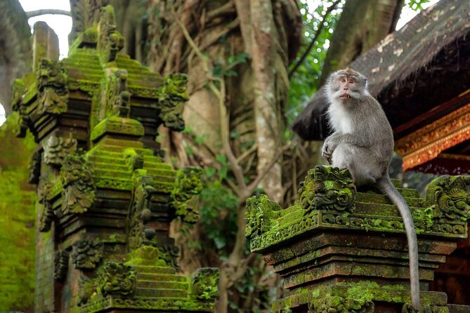 Ubud Highlights Rice Terraces, Temple, Waterfall & Monkeys forest - Ubud Palace: traditional architecture and a dose of royal-era context