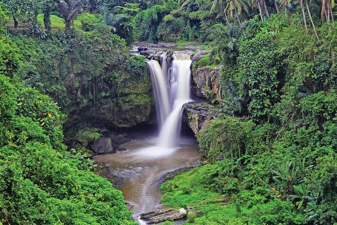 Ubud Highlights Rice Terraces, Temple, Waterfall & Monkeys forest - Price and value: is $27.37 a bargain or a puzzle?