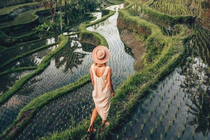 Ubud Highlights Shared Tour – Small Group Full-Day Experience - Entering Ubud’s rhythm at Tegalalang Rice Terrace (stop 1)