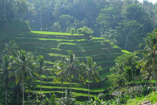 Ubud Highlights Tour ( Private All-Inclusive ) - Tirta Empul’s spring holy waters: a temple stop with a strong sensory focus