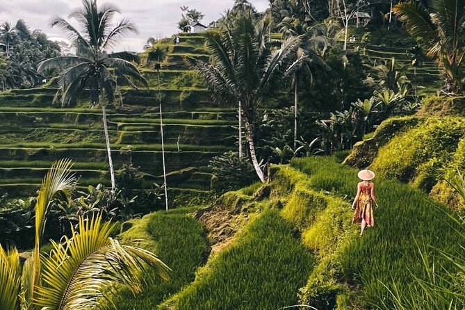 Ubud Higlights Full Day Tour - Private Tour Experience - Tegalalang Rice Terrace: more than photos—Tri Hita Karana and Subak
