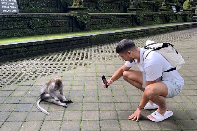 Ubud Higlights Full Day Tour - Private Tour Experience - What’s included (and what you’ll need to add)