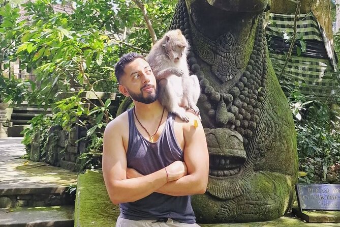 Ubud Higlights Full Day Tour - Private Tour Experience - Tegenungan Waterfall: photos, swimming options, and timing in the heat