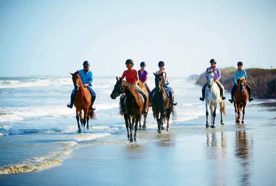 Ubud: Horse Riding, Zip-Line Tour & Waterfall Tour - What to Bring So You’re Not Bummed Mid-Day