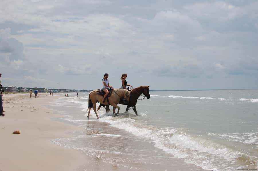 Ubud: Horse Riding, Zip-Line Tour & Waterfall Tour - Price and Value: Is $44 Really a Good Deal?
