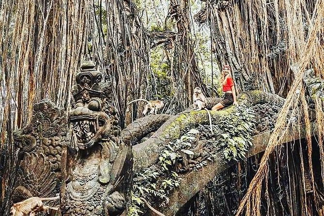 Ubud iconic waterfall and temple tours - Tegalalang Rice Terrace: a photo stop with real activity options