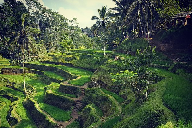 Ubud iconic waterfall and temple tours - Starting at 8:00 am: timing that helps (and crowds that you’ll still face)