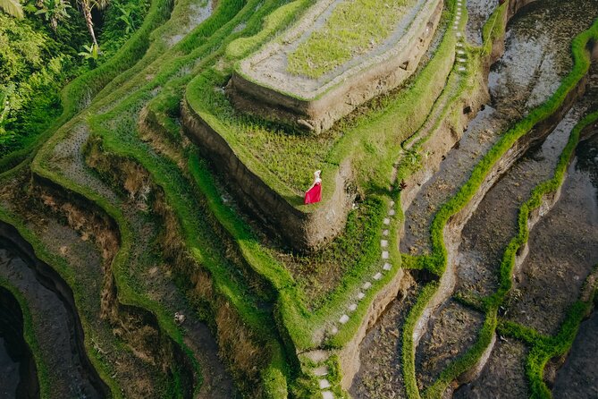 UBUD Instagram Spot Tour with Photographer - Kumulilir Coffee & Tea Tasting: Jungle Views and the Coffee-Making Story