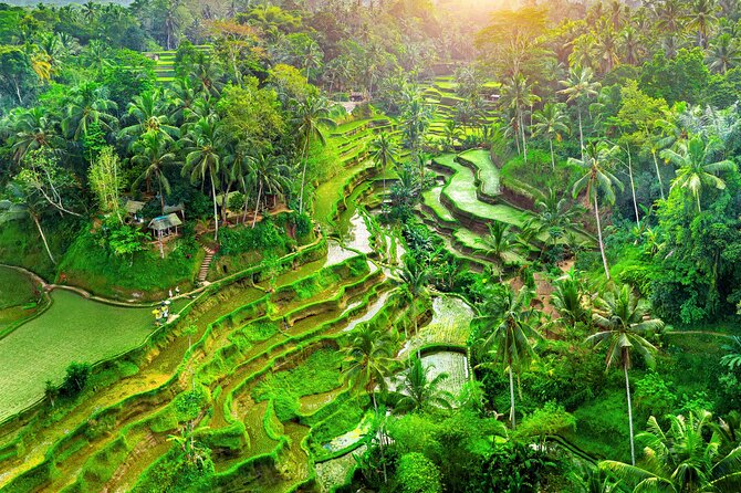 Ubud Jungle Adventure: Tirta Empul & Bali Swing - Key highlights at a glance