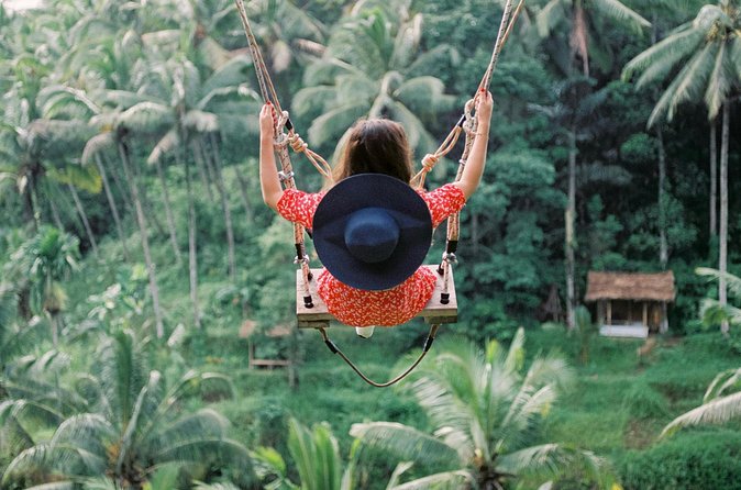 Ubud Jungle Adventure: Tirta Empul & Bali Swing - Tegalalang Rice Terrace: the iconic layered view, minus the guesswork