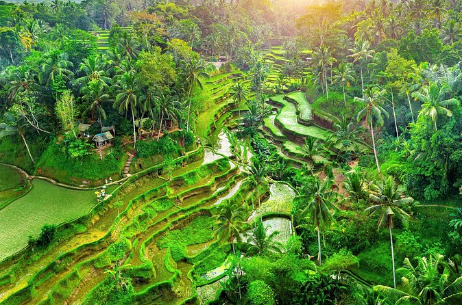 Ubud Jungle Adventure: Tirta Empul & Bali Swing - Value check: is $64 a good deal for this private day?