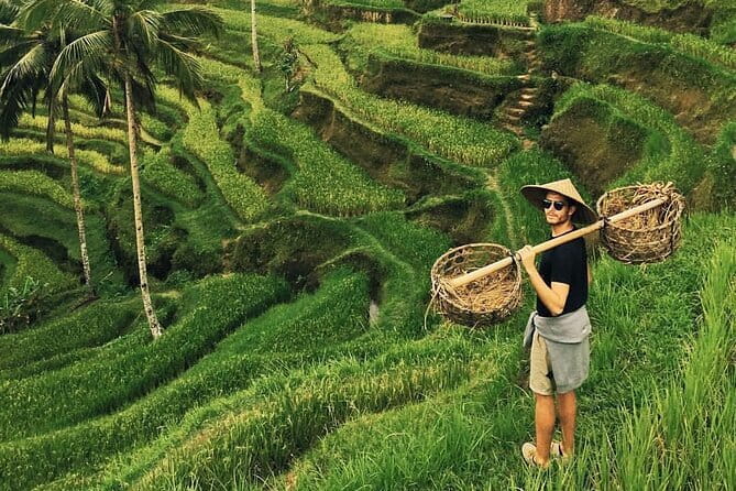 Ubud Jungle Swing - Monkey Forest - Water Temple - Waterfall - Quick Highlights (What You’ll Actually Remember)