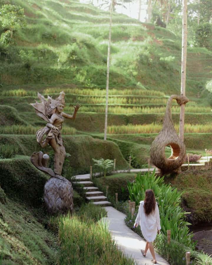 Ubud: Kanto Lampo Waterfalls, Jungle Swing, Rice Terrace - Who this Ubud tour fits best (and who should skip it)