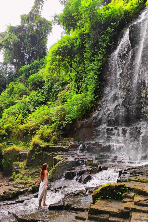 Ubud: Kanto Lampo Waterfalls, Jungle Swing, Rice Terrace - Coffee and herbal tea tasting: why it’s worth your stomach space