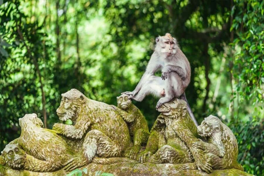 Ubud: Kecak Fire Dance with Transfer & Optional Day Tour - Who should book this Kecak package (and who should skip)