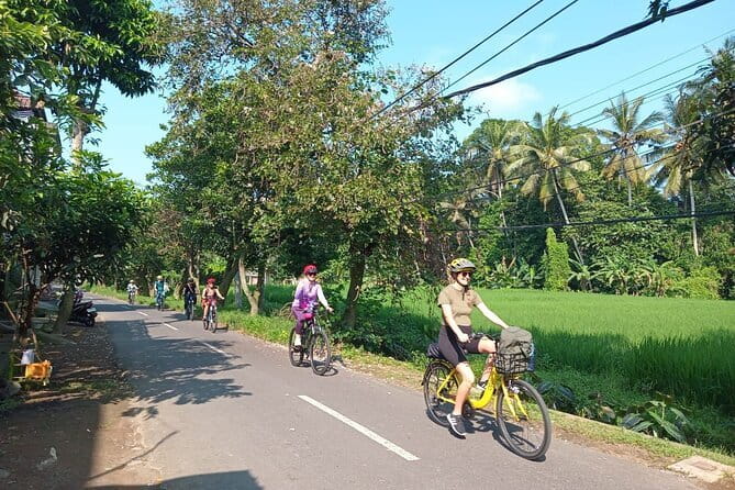 Ubud : Kintamani Downhill Cycling Tour with Lunch - Price and Inclusions: What You’re Actually Paying For