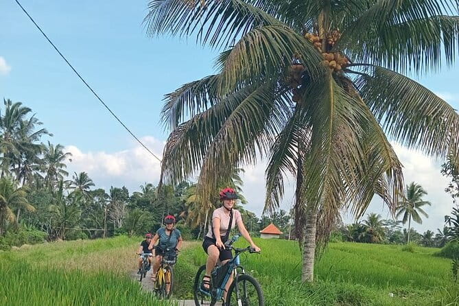 Ubud : Kintamani Downhill Cycling Tour with Lunch - Pura Desa Malet Gusti: School, Temple, and Family Life in One Stretch