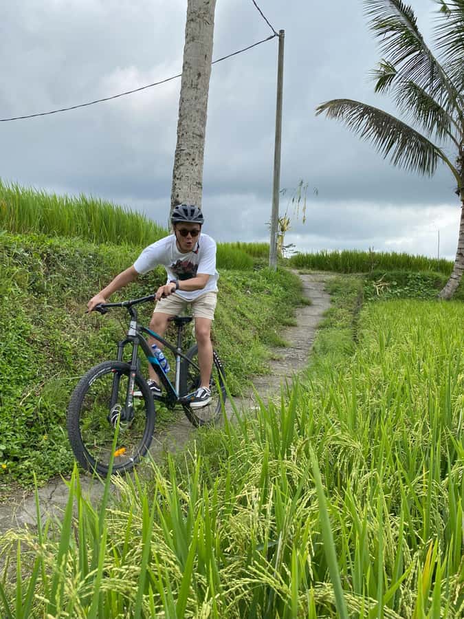 Ubud: Kintamani Downhill Cycling with small group & Private - What Makes It Feel Safe: Bikes, Helmets, and a Good Route