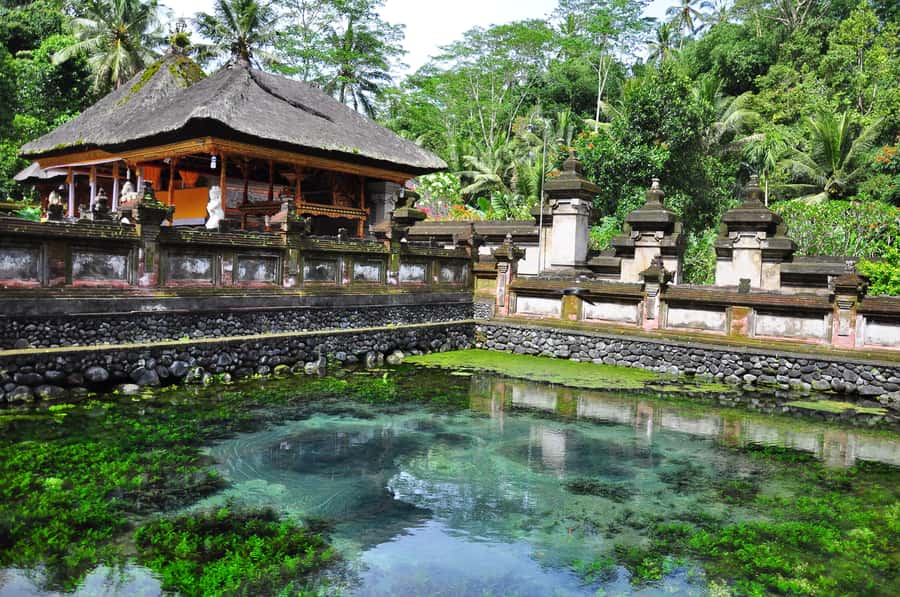 Ubud: Monkey Forest, Ceking Rice Terraces and More– Full Day - What to Bring and How to Avoid Stress in Bali Traffic